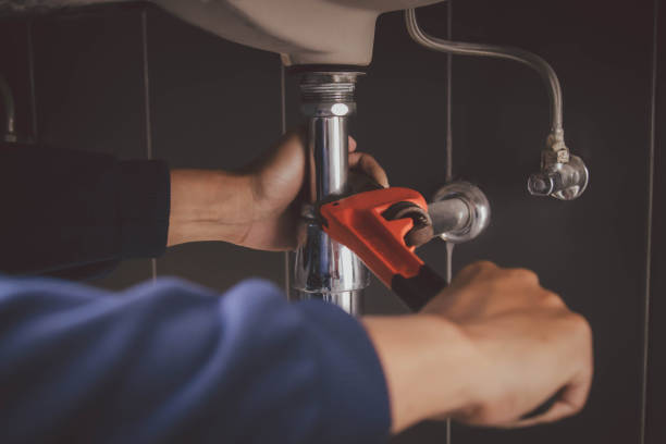 Best Plumbing Inspection Services  in Lyles, TN